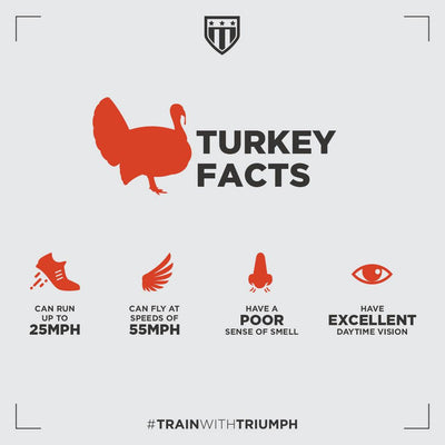 Turkey Facts
