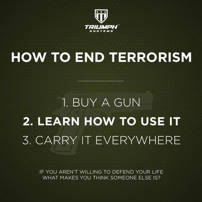 How to End Terrorism - Triumph Systems