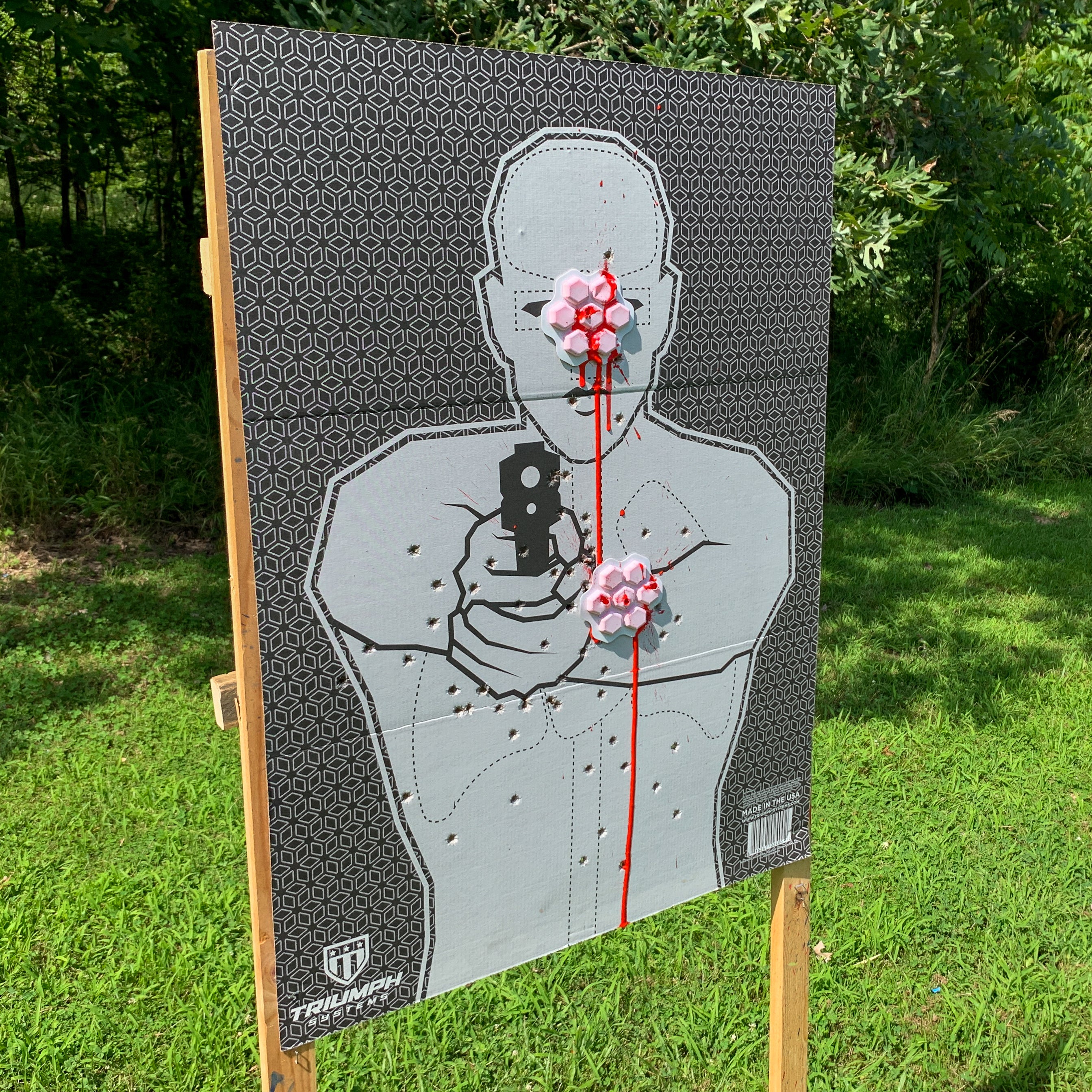 Cardboard Targets Triumph Stick N Shoot Adhesive Bleeding Targets - 6 ...