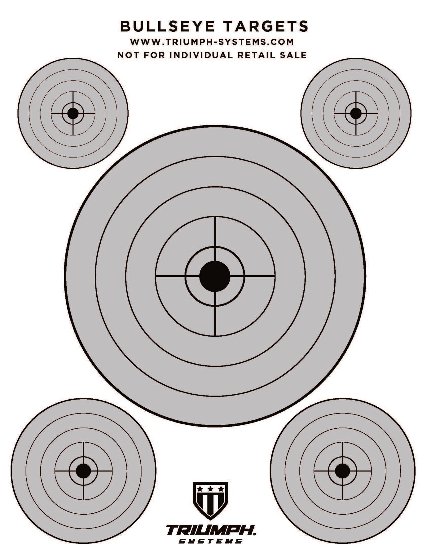 Shooting Training Targets: Bullseye Target - Triumph Systems