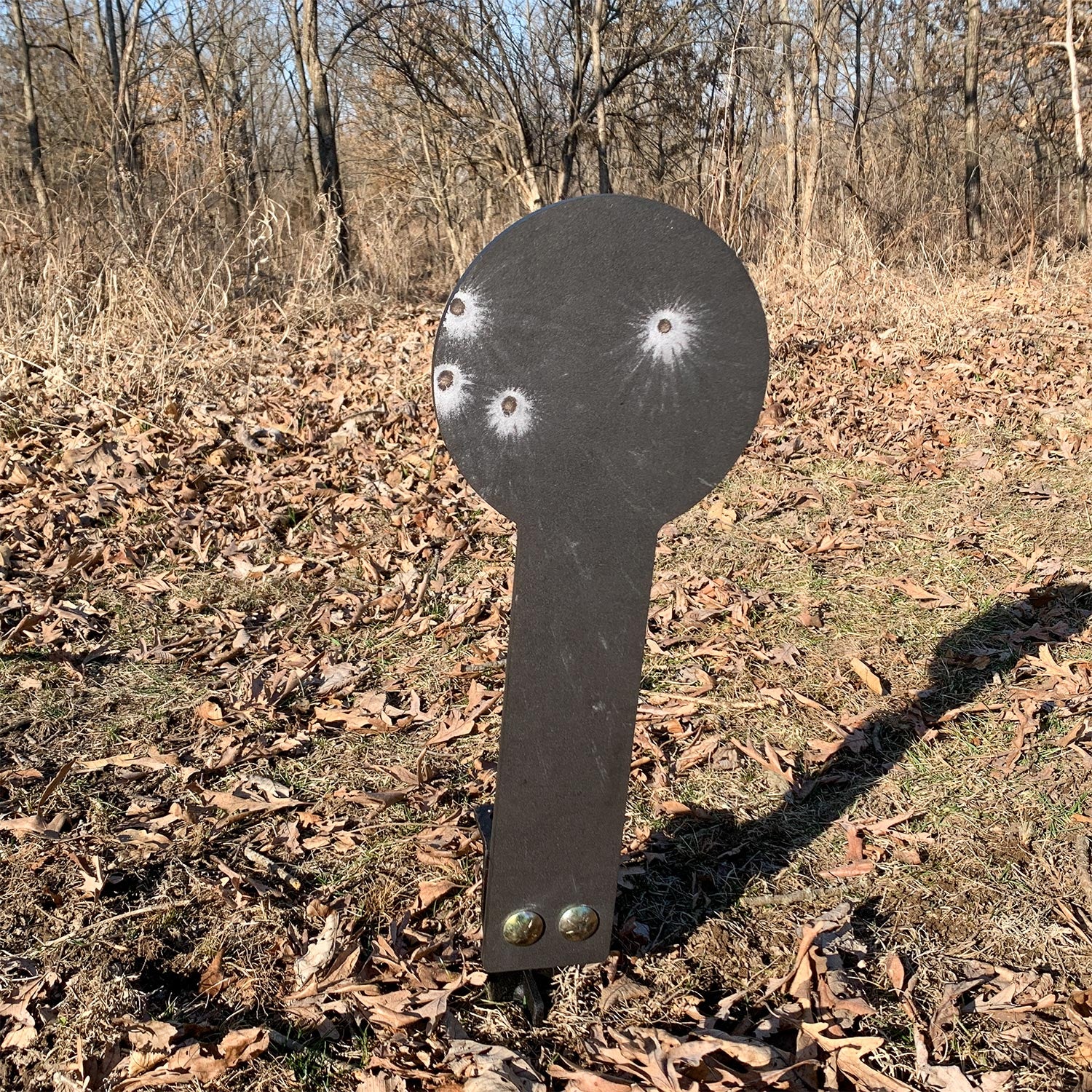 FUSION™ 8 Inch Steel Stake Target - Rifle Rated - 3/8