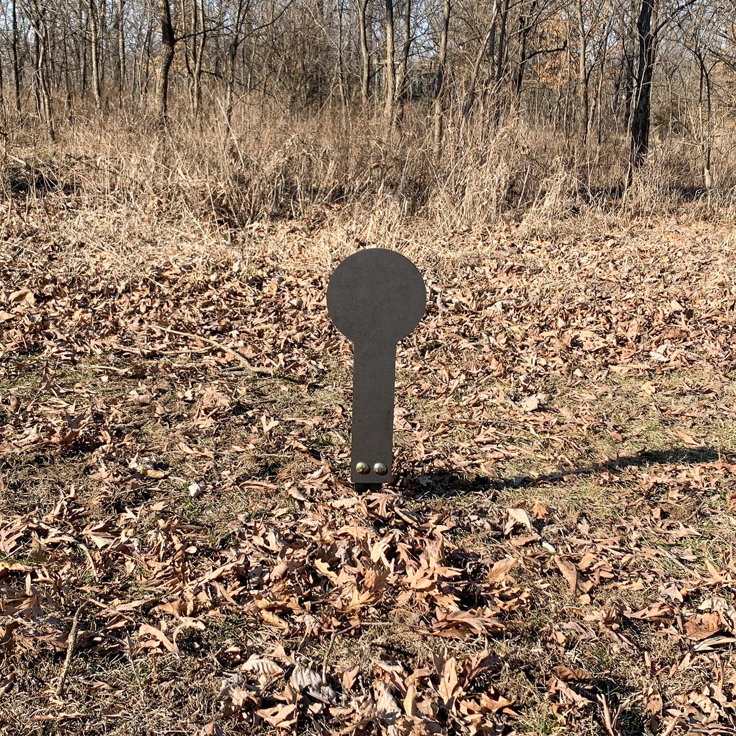 FUSION™ 8 Inch Steel Stake Target - Rifle Rated - 3/8